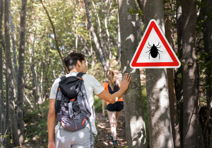 チェコでのマダニ対策